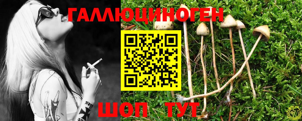 Псилоцибиновые грибы Cubensis  Вход с VPN  Кемерово 